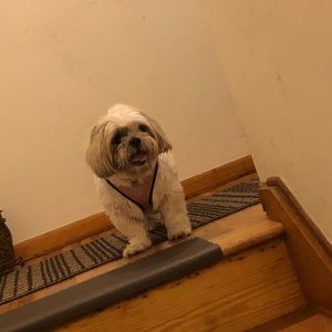 Meet your Posher, Karla